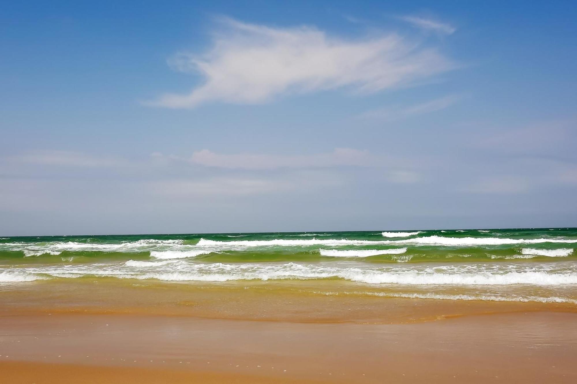 Surfside Condos South Padre Island Cameră foto